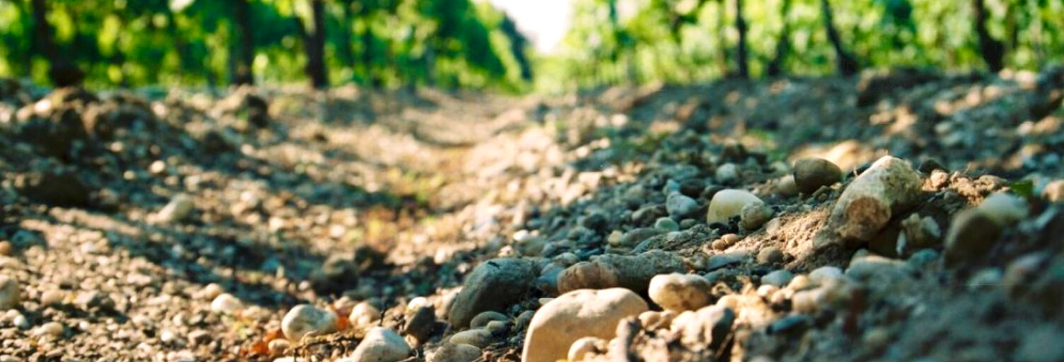 property.type.service  34471 m² à vendre à Pomerol (33500)