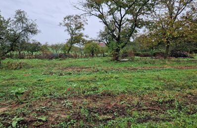 terrain  pièces 930 m2 à vendre à Dammartin-Marpain (39290)