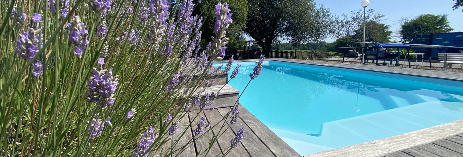 Maison 7 Pièces 370 m² à vendre à Pouillon (40350)