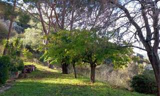 Appartement 4 Pièces 81 m² à vendre à Sartène (20100)