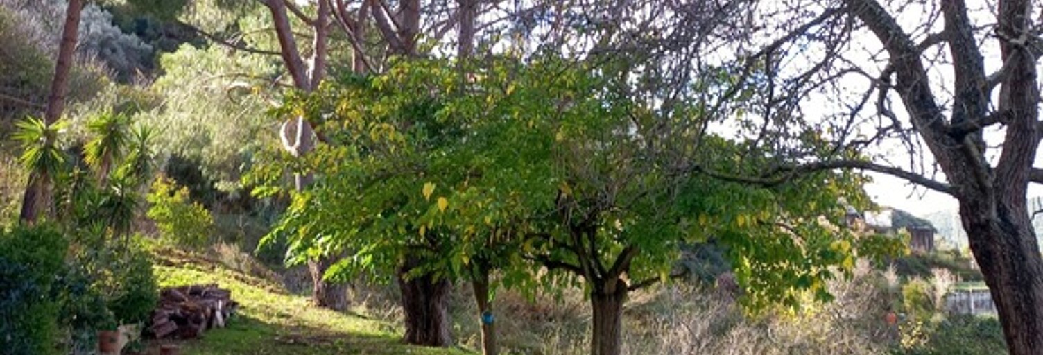 Appartement 4 Pièces 81 m² à vendre à Sartène (20100)