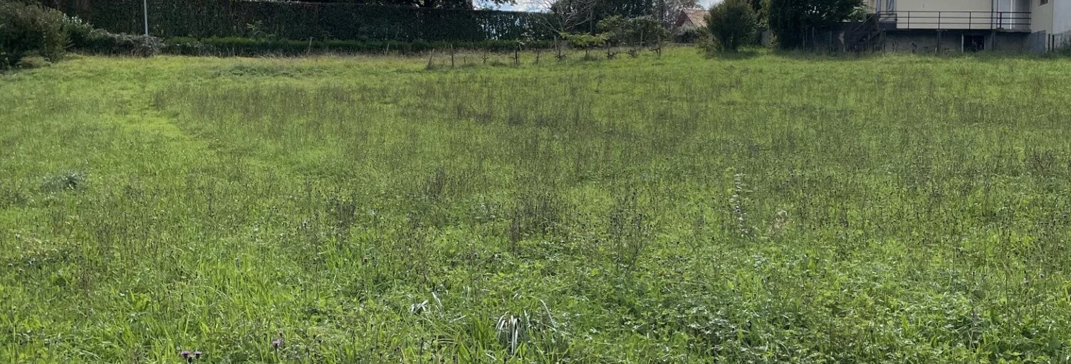 Terrain  1400 m² à vendre à Habas (40290)