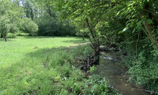 Photo N° 3