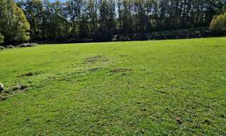 Photo N° 4
