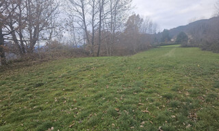 Photo N° 4