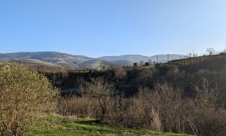 Photo N° 4