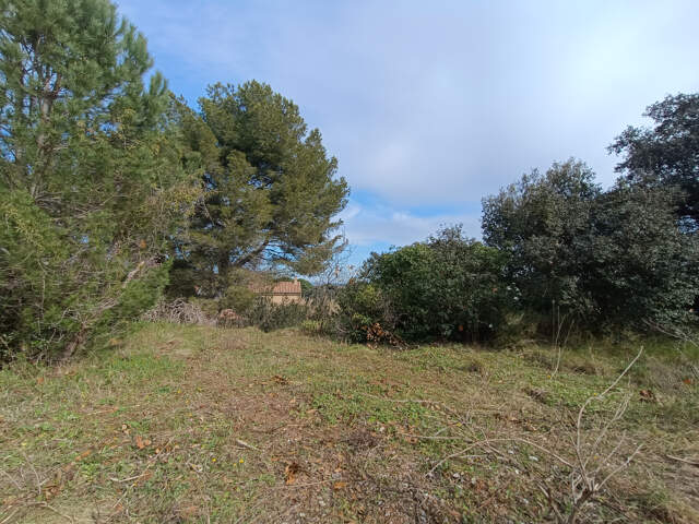 Terrain à batir de 1750m2 — photo du bien