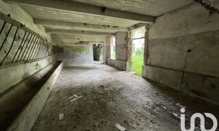 Photo N° 4