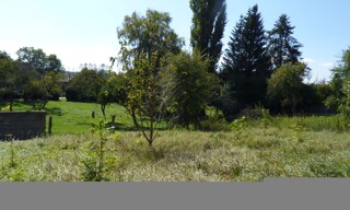 Photo N° 8