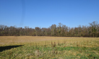 Photo N° 5
