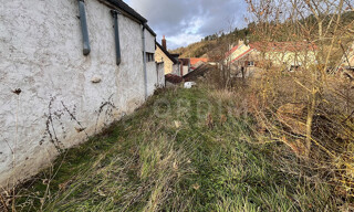 Photo N° 5