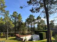 Villa — photo 2
