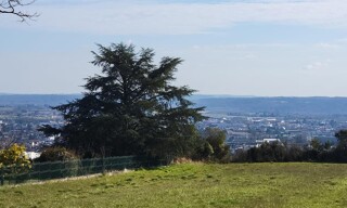 Photo N° 3
