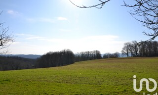 Photo N° 7