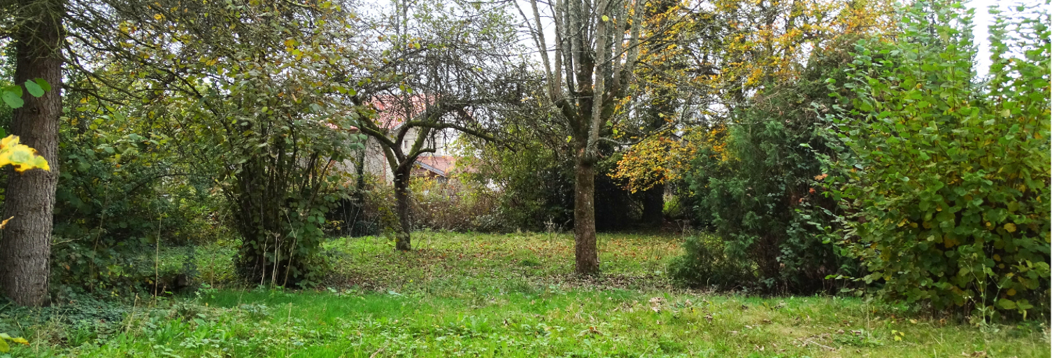 Maison 10 Pièces 194 m² à vendre à Étival-Clairefontaine (88480)