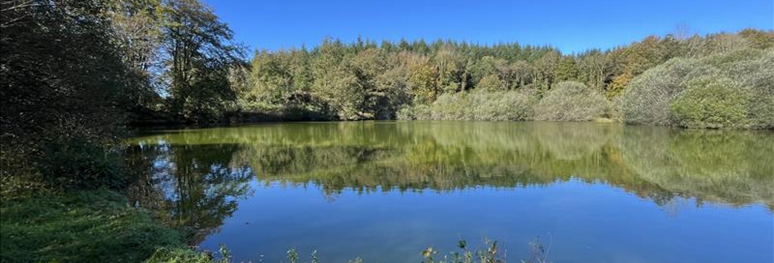 Terrain  21961 m² à vendre à Saint-Goussaud (23430)