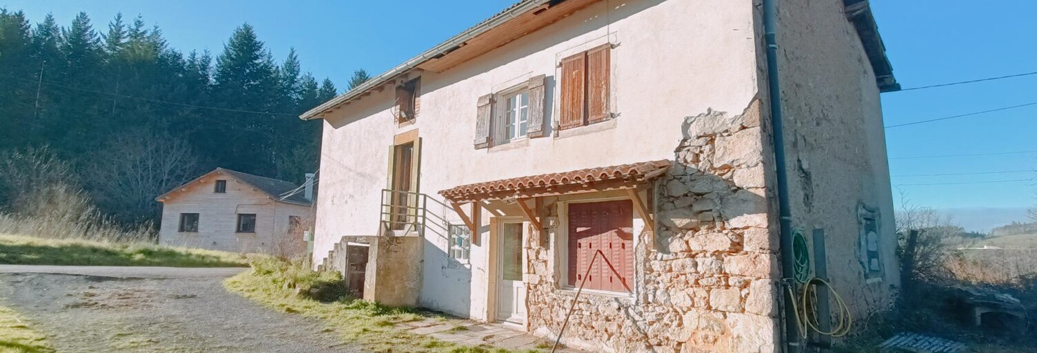 Maison 8 Pièces 149 m² à vendre à Belmont-de-la-Loire (42670)