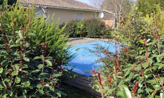 Photo N° 16