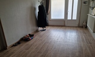 Photo N° 8