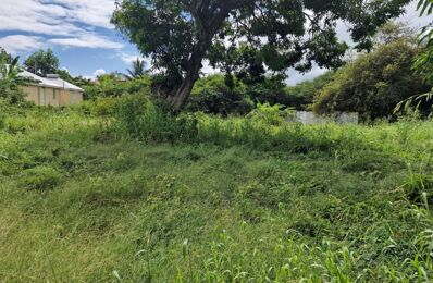 vente terrain 98 000 € à proximité de Morne-à-l'Eau (97111)