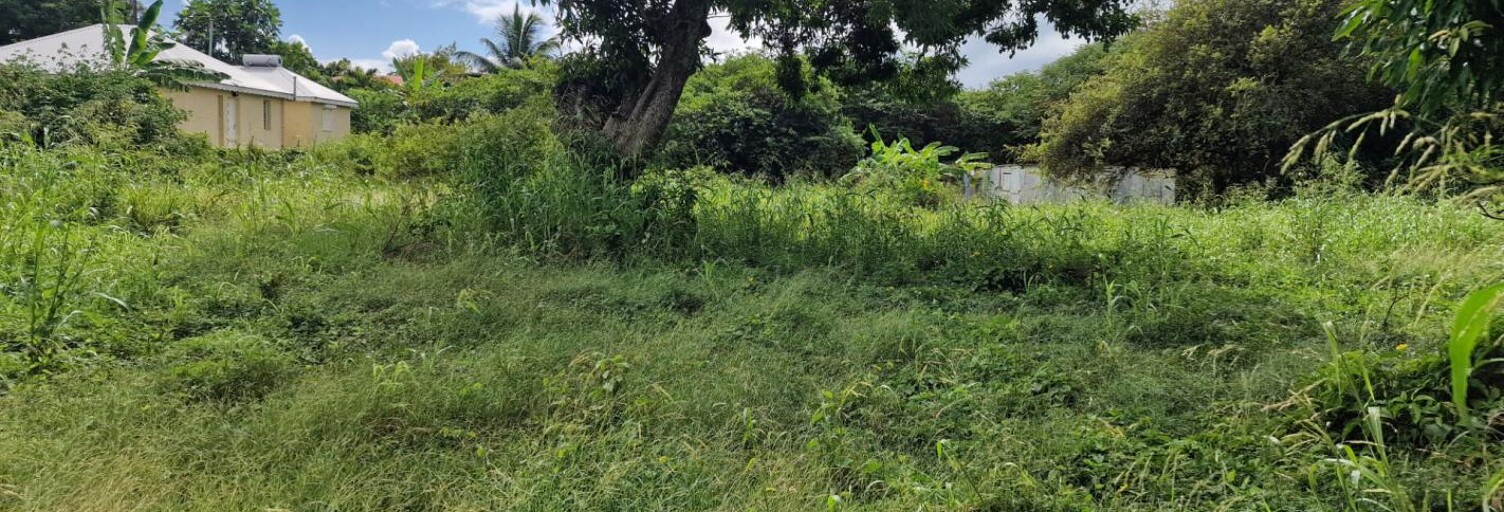 Terrain  800 m² à vendre à Petit-Canal (97131)