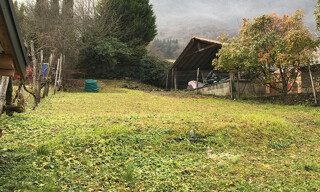 Photo N° 15