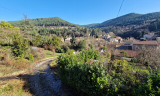 Photo N° 3