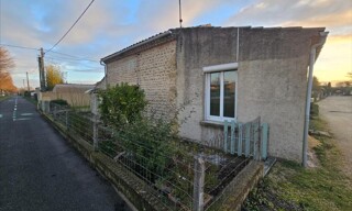 Photo N° 5