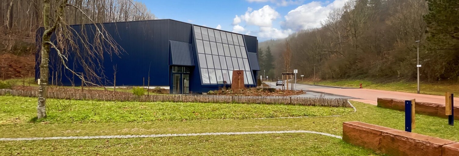 Commerce 3 Pièces 370 m² à louer à Niederbronn-les-Bains (67110)