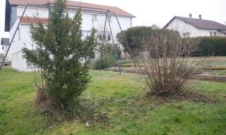 Photo N° 3