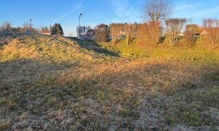 Photo N° 4
