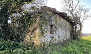 Photo N° 3