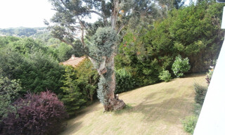 Photo N° 5