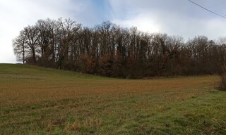 Terrain  2973 m² à vendre à Graulhet (81300)