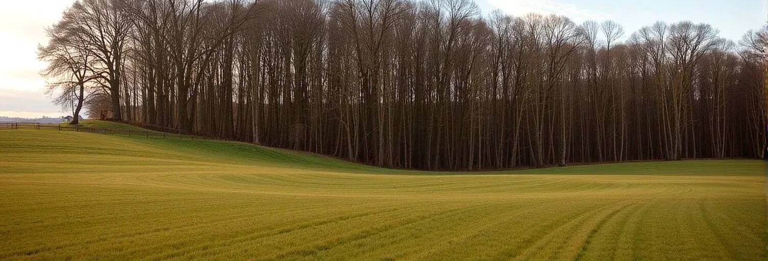 Terrain  2973 m² à vendre à Graulhet (81300)