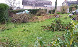 Photo N° 5