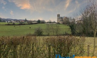 Photo N° 4
