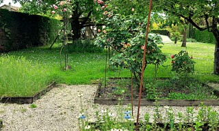 Photo N° 3