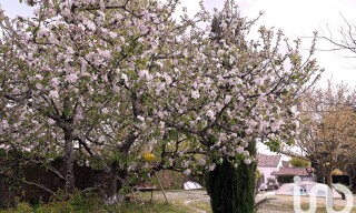 Photo N° 4