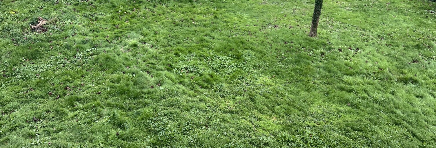 Terrain  449 m² à vendre à Guémené-Penfao (44290)