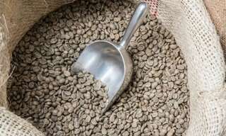 Commerce  60 m² à vendre à Rivedoux-Plage (17940)