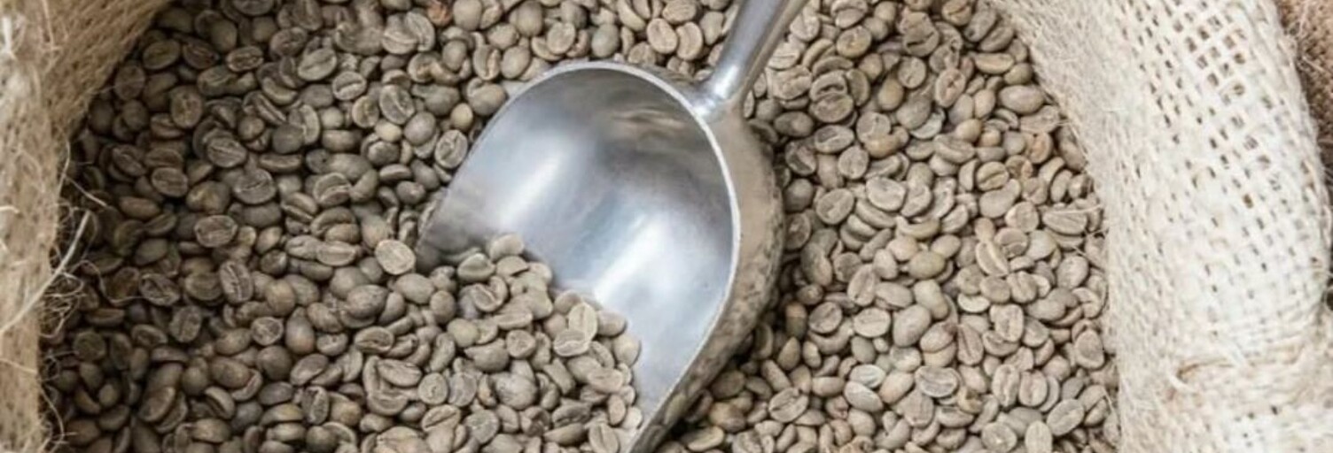 Commerce  60 m² à vendre à Rivedoux-Plage (17940)