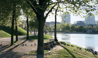 Photo N° 2