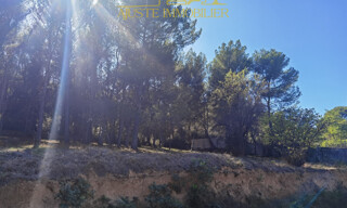 Photo N° 4