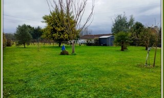 Photo N° 4
