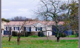 Photo N° 5