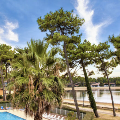 Appartement 2 pièces 95529 €