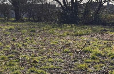 vente terrain 260 000 € à proximité de Montoir-de-Bretagne (44550)