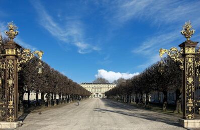 vente appartement 117 000 € à proximité de Essey-Lès-Nancy (54270)