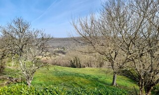 Photo N° 9